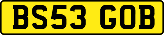 BS53GOB
