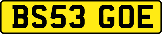BS53GOE