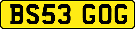 BS53GOG