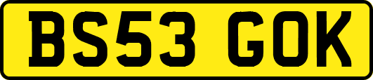 BS53GOK