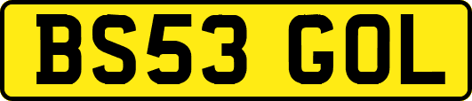 BS53GOL