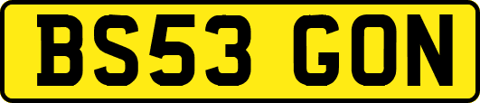BS53GON