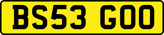 BS53GOO