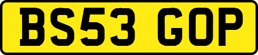 BS53GOP