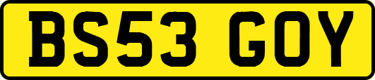 BS53GOY