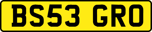 BS53GRO