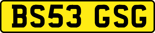 BS53GSG