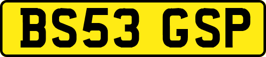 BS53GSP