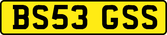 BS53GSS