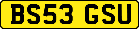 BS53GSU