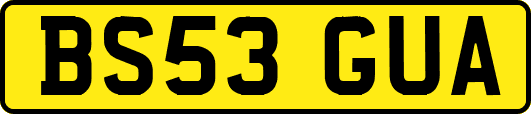 BS53GUA