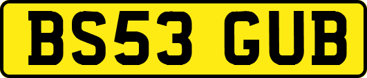 BS53GUB