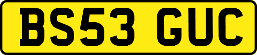 BS53GUC