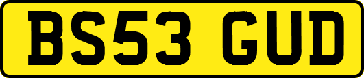 BS53GUD