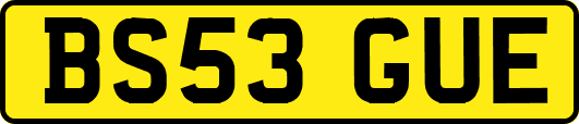 BS53GUE