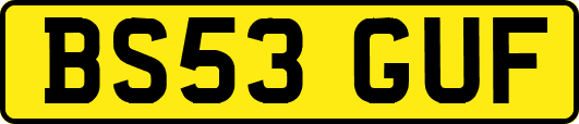 BS53GUF