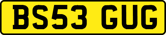 BS53GUG