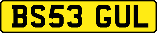 BS53GUL