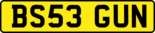 BS53GUN