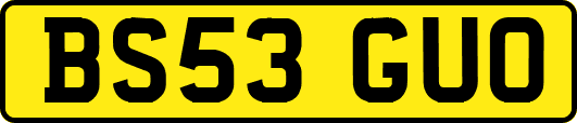 BS53GUO