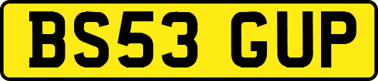 BS53GUP