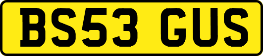 BS53GUS