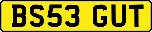 BS53GUT