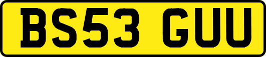 BS53GUU