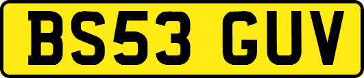 BS53GUV