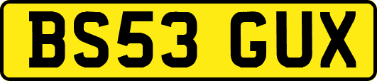 BS53GUX