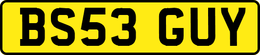 BS53GUY