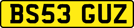BS53GUZ