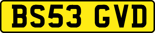 BS53GVD