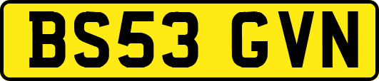 BS53GVN