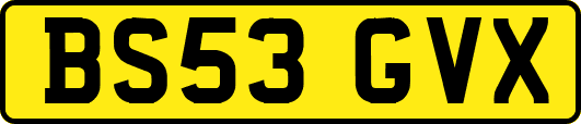 BS53GVX
