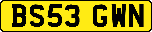 BS53GWN
