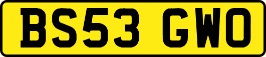 BS53GWO