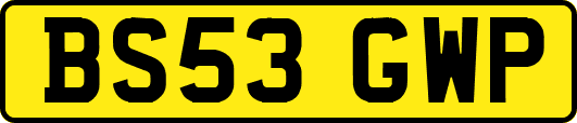 BS53GWP