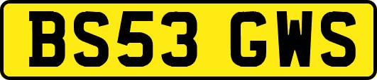 BS53GWS