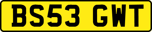 BS53GWT