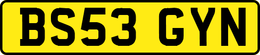 BS53GYN