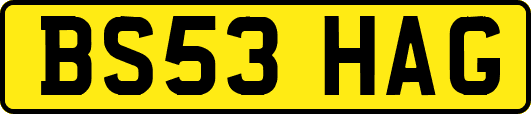 BS53HAG