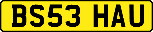 BS53HAU