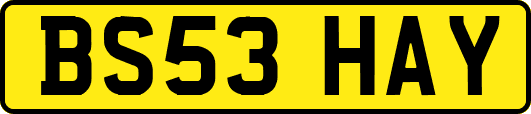 BS53HAY