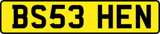 BS53HEN