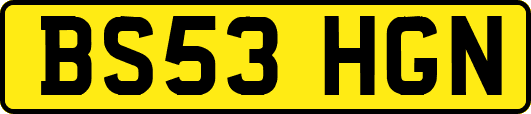 BS53HGN