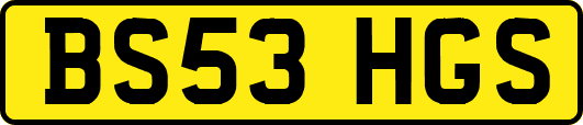 BS53HGS