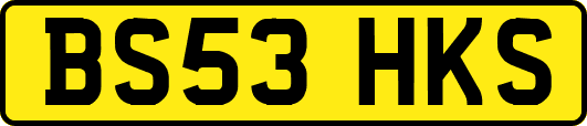 BS53HKS
