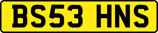 BS53HNS
