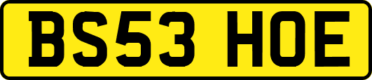 BS53HOE